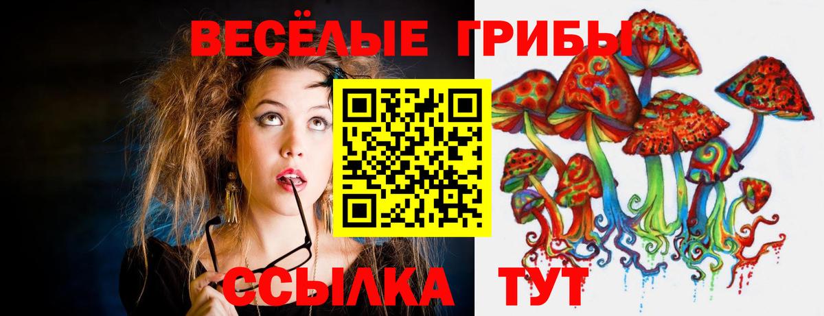 Мирный  Псилоцибиновые грибы прущие грибы  Вход с VPN 